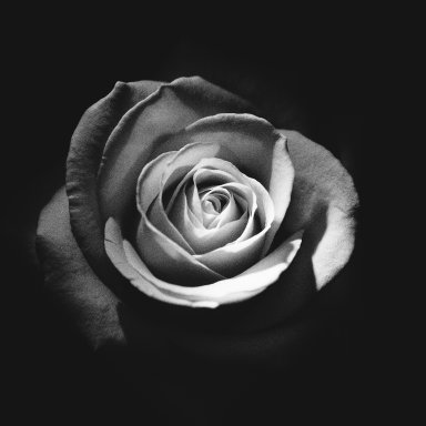 song rock