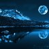 Test Duplicate