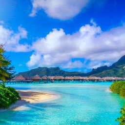 Admin Event 19