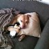dog-penguin.jpg