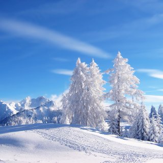 Landscape Snow