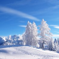 landscape_snow