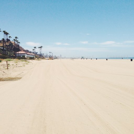 beach_tracks