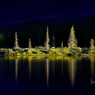 gallery: lakeview