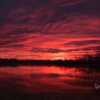 gallery: red_dawn