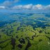 everglades