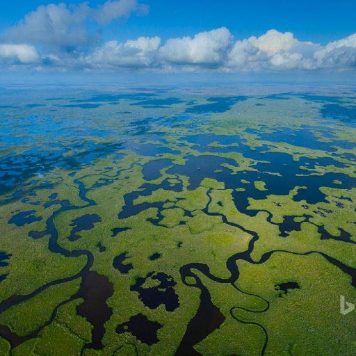 everglades