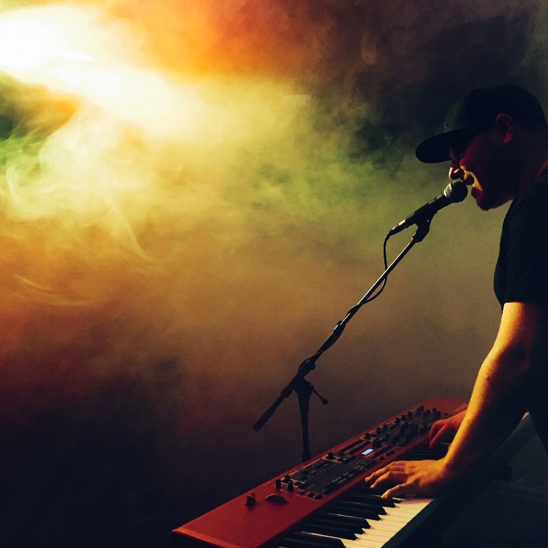 Electronic Artist