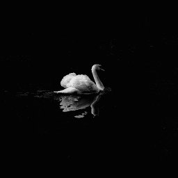 Testuser7 Audio Playlist 1