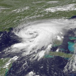 hurricane-hermine-slams-into-florida